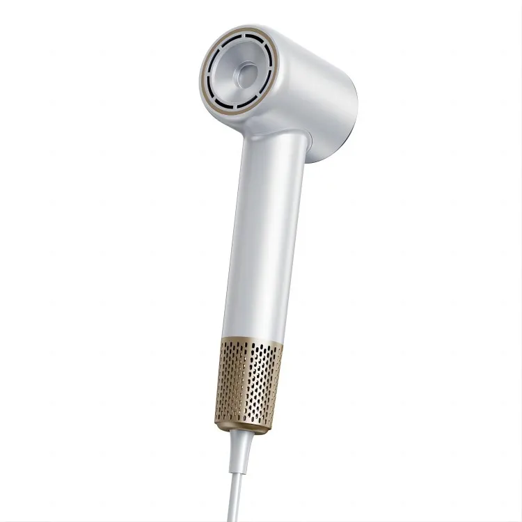 Sychwr Gwallt Personol Proffesiynol